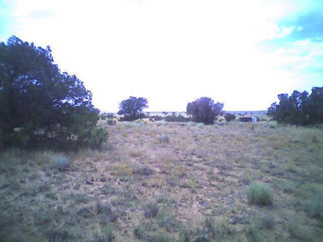 5440 N Ceder Hills Rd., Snowflake, AZ 85937