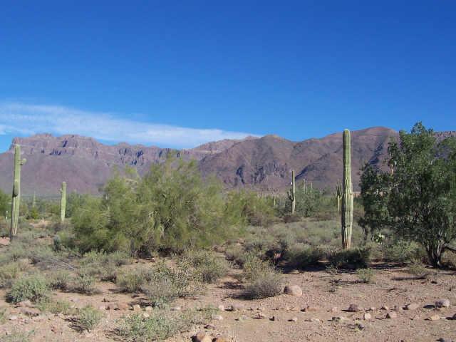 10196 E Open Sky, Great Views Dr., Gold Canyon, AZ 85218