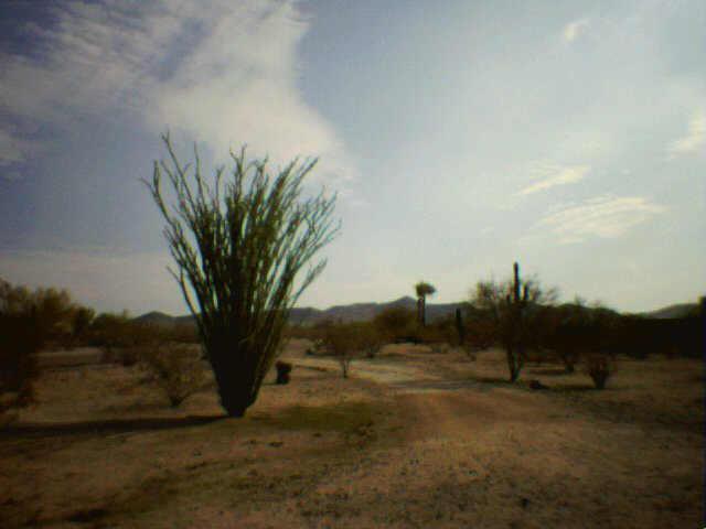 11818 S 194th Dr., Buckeye, AZ 85326