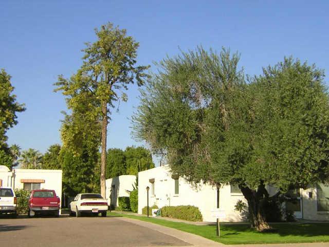 8050 E Oak St., Scottsdale, AZ 85257