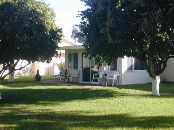 9440 N 110th Ave., Sun City, AZ 85351