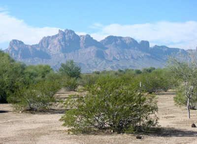 54734 W Pima St. #8, Tonopah, AZ 85354