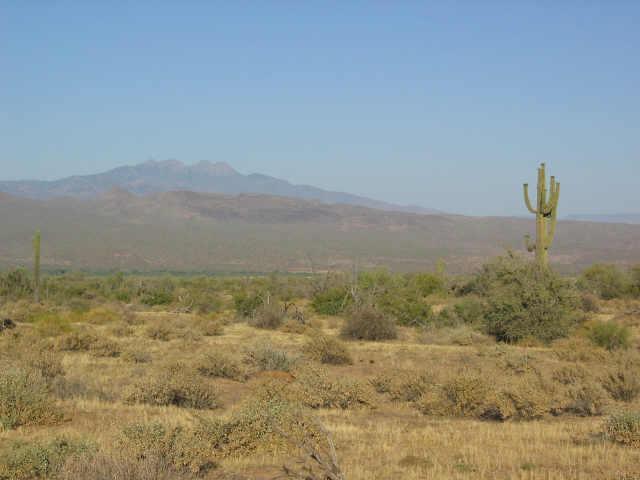 16400 E Dixileta Rd. #1, Rio Verde, AZ 85262