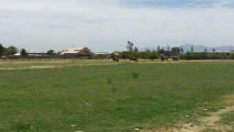 15751 W Orangewood Ave. #1, Litchfield Park, AZ 85340
