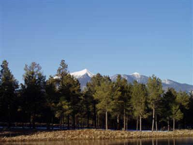 13 N Aspen Shadows St., Flagstaff, AZ 86001