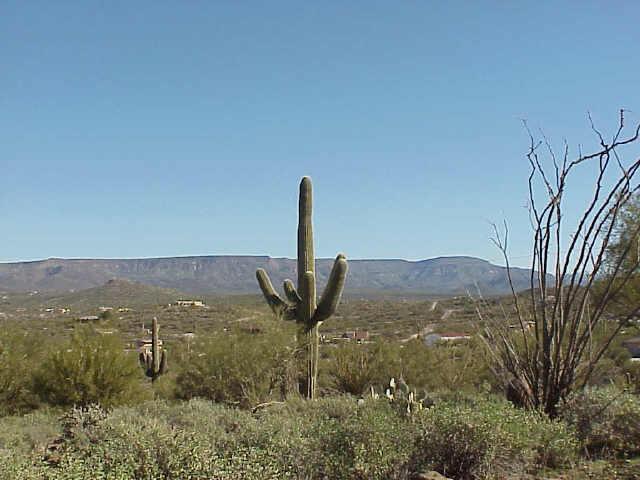 47740 N 31 Ave. #LOT 4, New River, AZ 85087