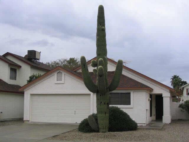 505 E Piute Ave., Phoenix, AZ 85024