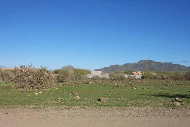 37035 N 7th St., Desert Hills, AZ 85086