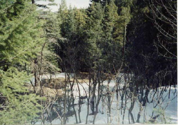 S Mt. Tritle Rd. #D, Groom Creek, AZ 86303