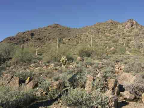 14570 Corrine Dr. #184, Scottsdale, AZ 85259