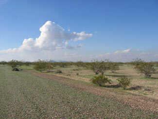 W Euclid Ave. #515, Tonopah, AZ 85326