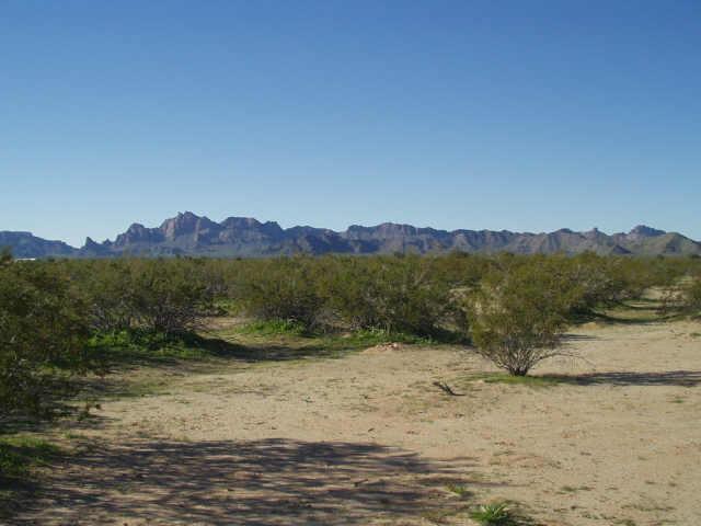 W 531 Ave/courthouse Rd. #39, Tonopah, AZ 85354