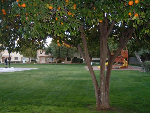 6025 N Granite Reef Ave., Scottsdale, AZ 85250