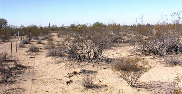 S Diffin Rd. #x, Florence, AZ 85232