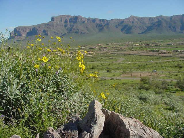 6617 E Arroyo Verde Rd. #35, Gold Canyon, AZ 85218