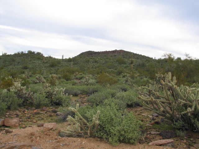 2514 W Rapolo Rd., Phoenix, AZ 85086