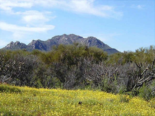 29505 N 141st St. #1, Scottsdale, AZ 85262