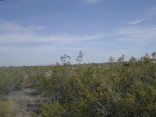 35100 W Broadway Ave. #Unk, Buckeye, AZ 85354