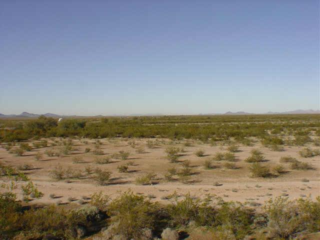 55500 W Solome #152, Tonopah, AZ 85354