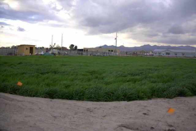 22444 W Huntington Dr. #61x, Buckeye, AZ 85326