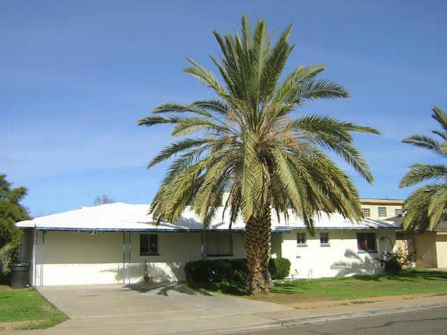 834 E 5th Ave., Mesa, AZ 85204