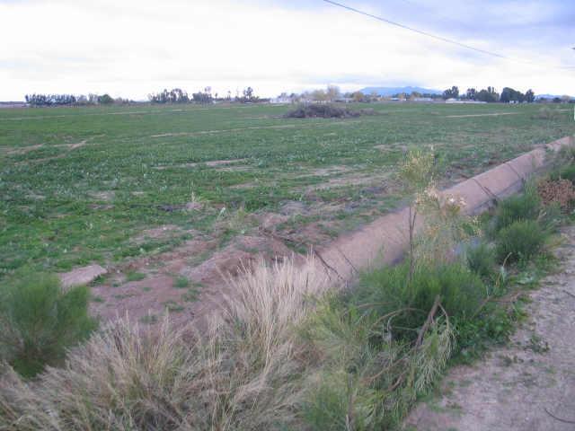 175 W Glendale Ave. #D-1, Waddell, AZ 85355