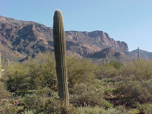 10700 E Running Water Rd. #39, Gold Canyon, AZ 85218