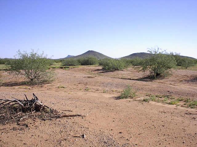 N 461st/trotter Ave. #19, Wickenburg, AZ 85390