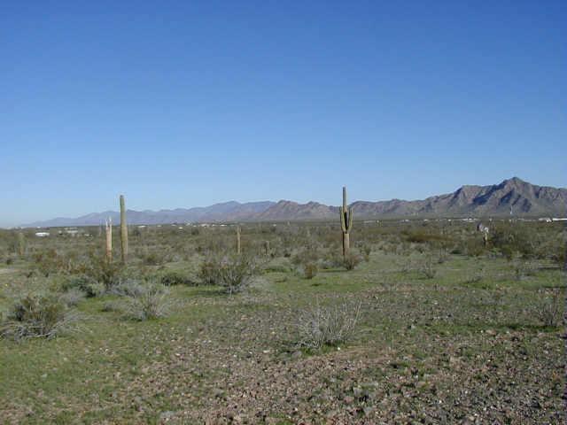 W Lantern Rd., Maricopa, AZ 85239