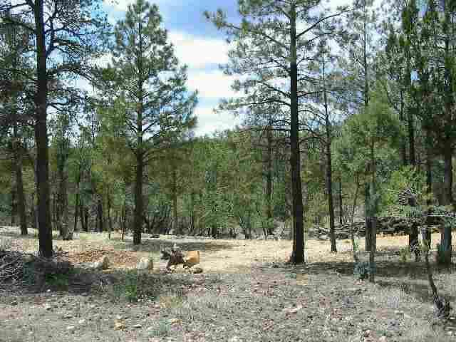 3372 W Hilltop Dr. #093, Heber, AZ 85928