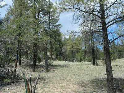 3380 W Hilltop Dr. #093, Heber, AZ 85928