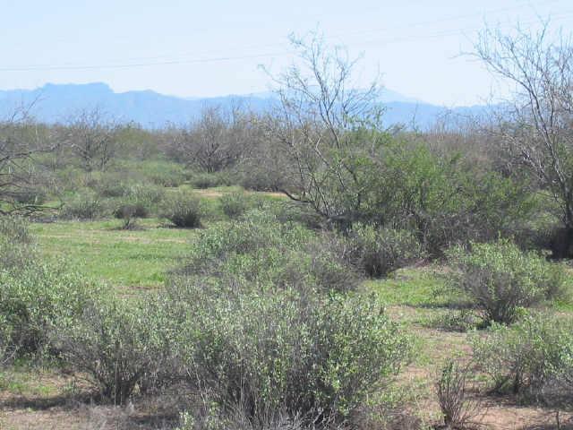 3304 E American Pride Dr. #4S, Queen Creek, AZ 85242