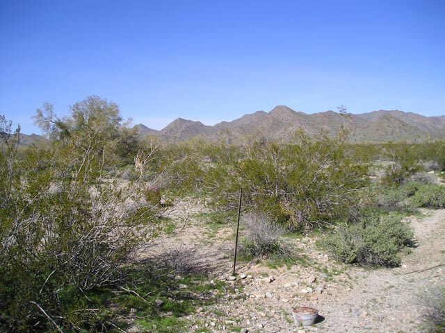1325 N Rainbow Rd. #117, Buckeye, AZ 85326