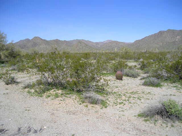 1345 N Rainbow Rd. #116, Buckeye, AZ 85326
