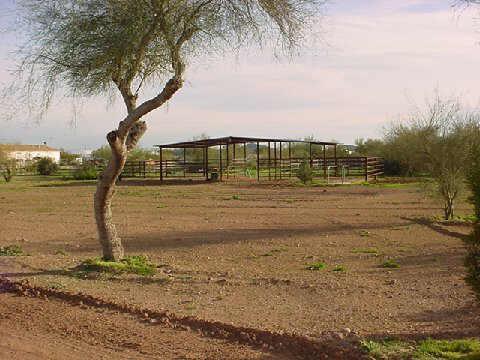 38017 N 11th Ave., Phoenix, AZ 85086