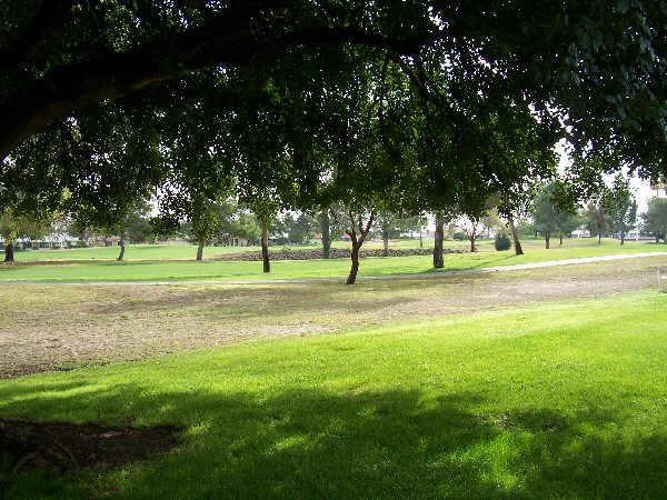 19225 N Concho, Sun City, AZ 85373