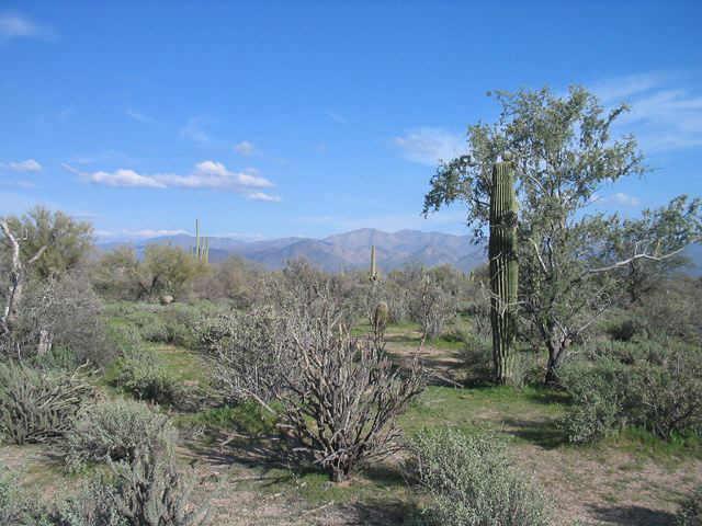 16799 E Lone Mountain Rd. #N/A, Scottsdale, AZ 85262