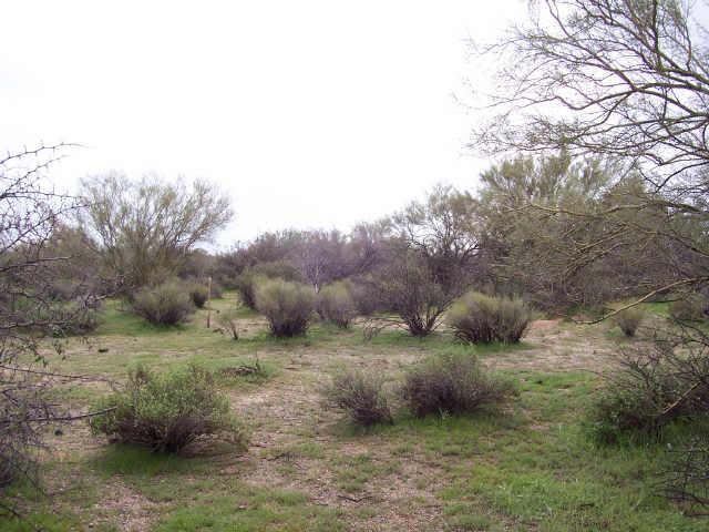 16400 E Dixileta Rd. #2, Rio Verde, AZ 85262