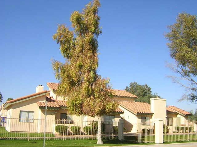 1075 E Chandler Blvd. #220, Chandler, AZ 85225