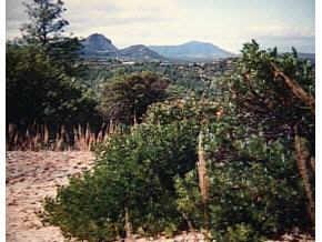 1296 S Manzanita Hill Rd. #none, Prescott, AZ 86303