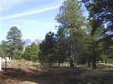 111 N Pyrite Rd., Flagstaff, AZ 86001