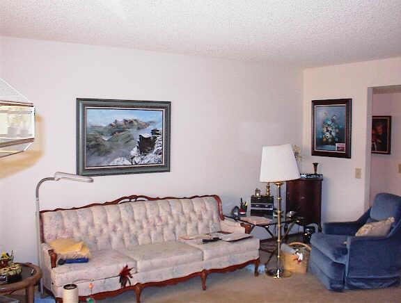 9885 W Spanish Moss Ct., Sun City, AZ 85373