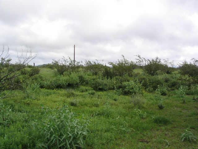 2101 N 331st Ave. #84, Tonopah, AZ 85354