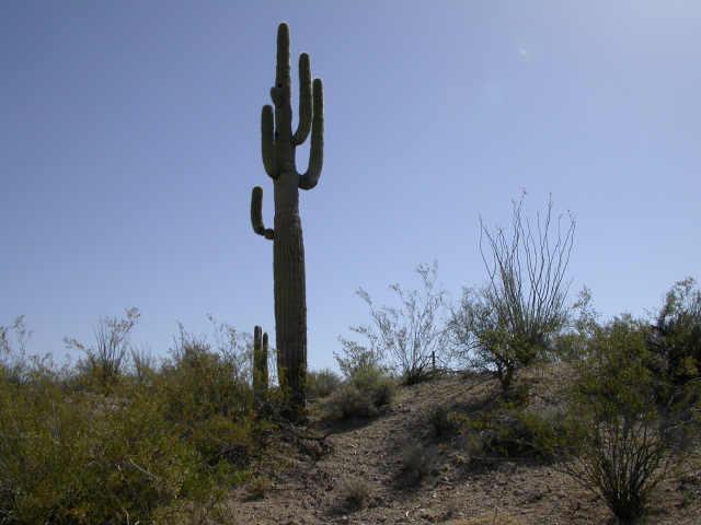 19.97 Acres Ter. #13-B, Wickenburg, AZ 85390