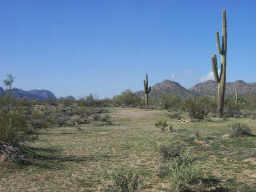 28960 N Brenner Pass Rd. #3, Queen Creek, AZ 85242