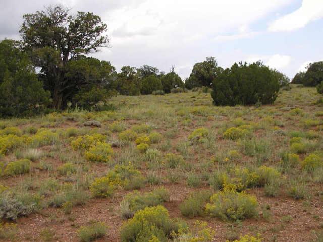 4224 Mountainview Rd. #99, Snowflake, AZ 85937