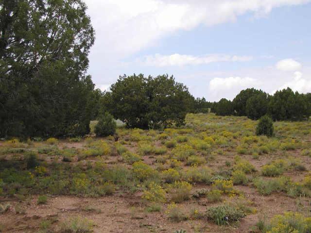 4218 S Mountainview Rd. #98, Snowflake, AZ 85937