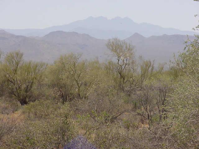 164 1/4 Mile South Of Lone Mtn Rd. #045P, Scottsdale, AZ 85262