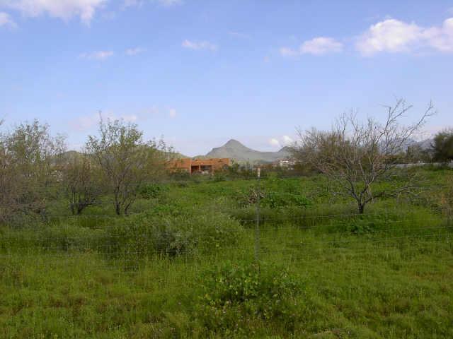 48600 N 7th Ave., New River, AZ 85087