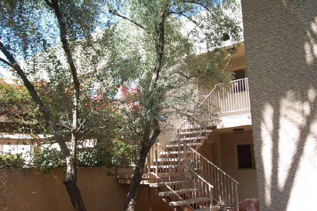 1808 N 32nd St. #205, Phoenix, AZ 85008